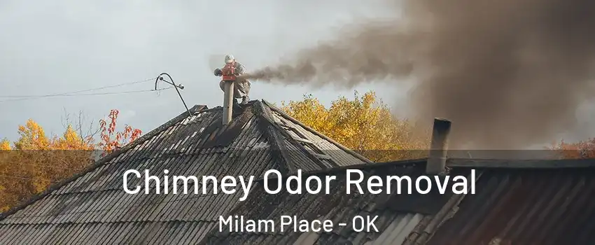 Chimney Odor Removal Milam Place - OK