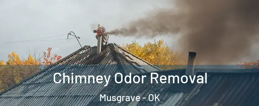 Chimney Odor Removal Musgrave - OK