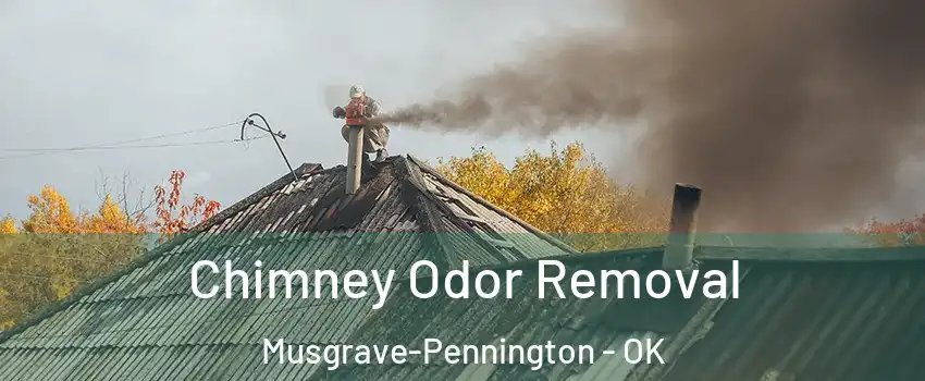Chimney Odor Removal Musgrave-Pennington - OK