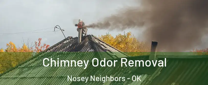 Chimney Odor Removal Nosey Neighbors - OK