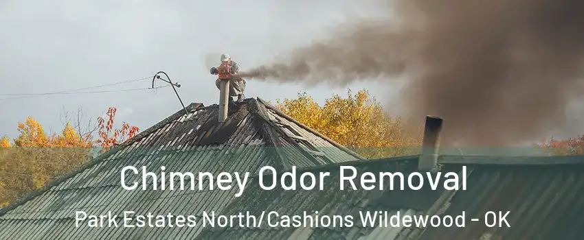 Chimney Odor Removal Park Estates North/Cashions Wildewood - OK