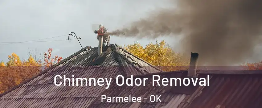 Chimney Odor Removal Parmelee - OK
