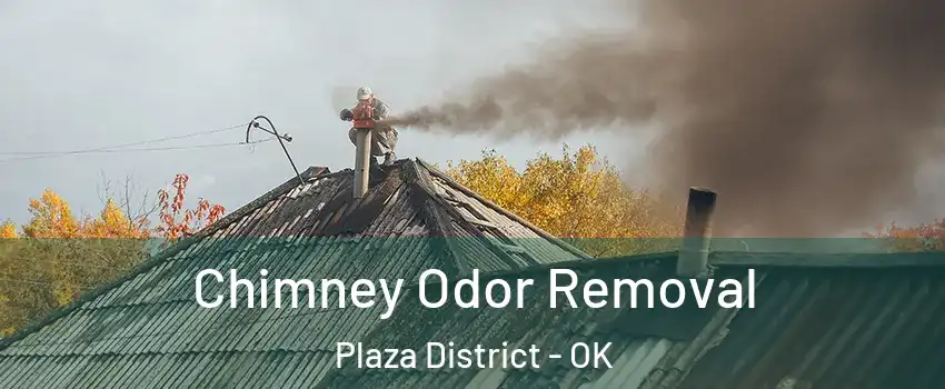 Chimney Odor Removal Plaza District - OK