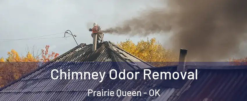Chimney Odor Removal Prairie Queen - OK