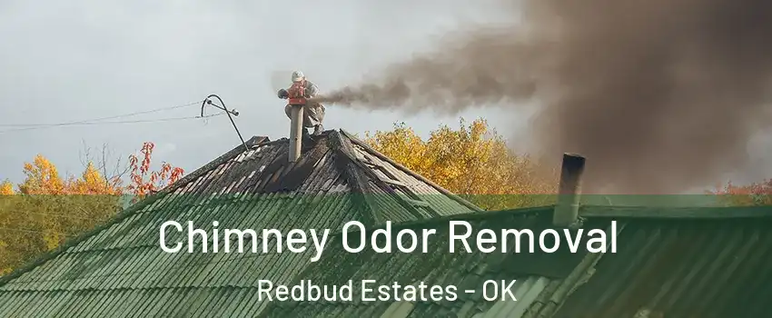 Chimney Odor Removal Redbud Estates - OK