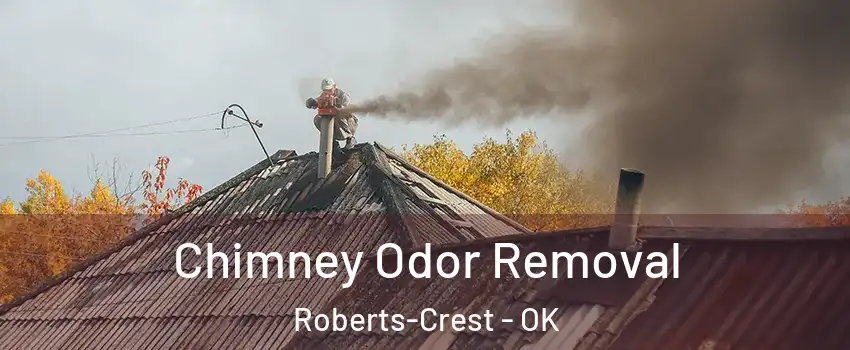 Chimney Odor Removal Roberts-Crest - OK