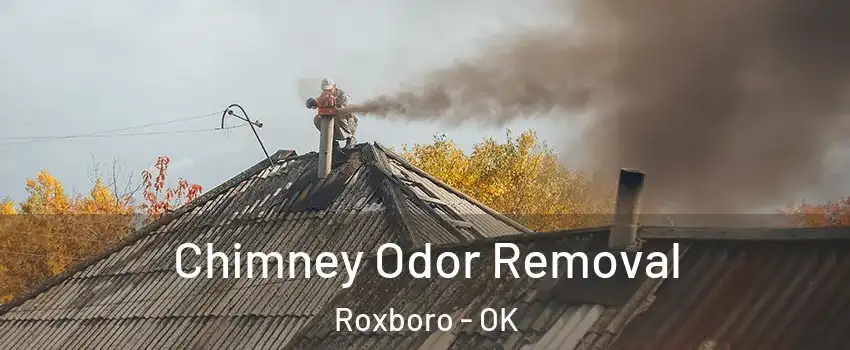 Chimney Odor Removal Roxboro - OK