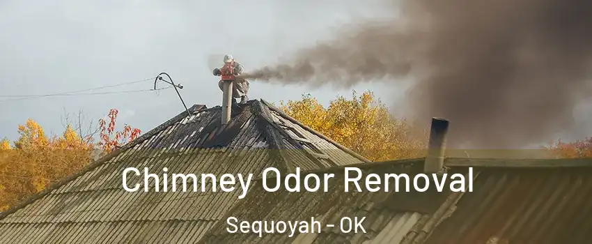Chimney Odor Removal Sequoyah - OK