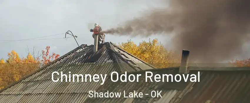 Chimney Odor Removal Shadow Lake - OK