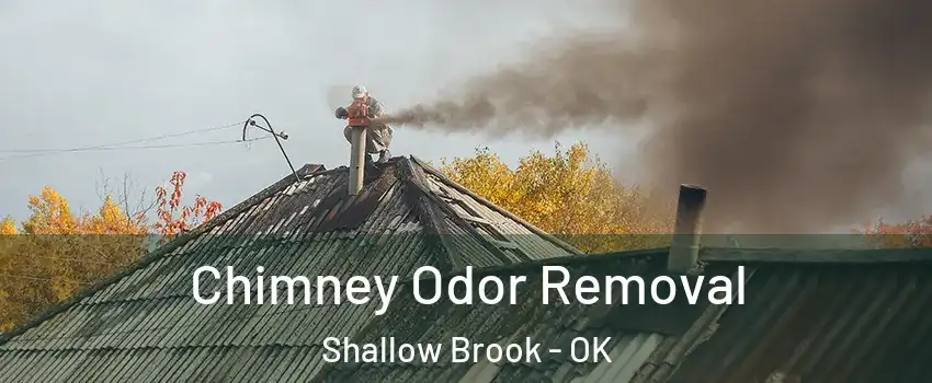 Chimney Odor Removal Shallow Brook - OK