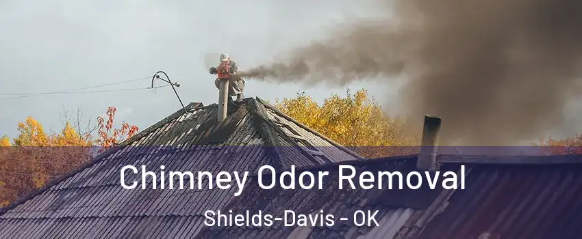 Chimney Odor Removal Shields-Davis - OK