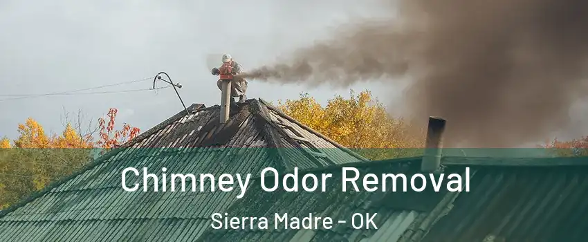 Chimney Odor Removal Sierra Madre - OK