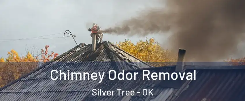 Chimney Odor Removal Silver Tree - OK