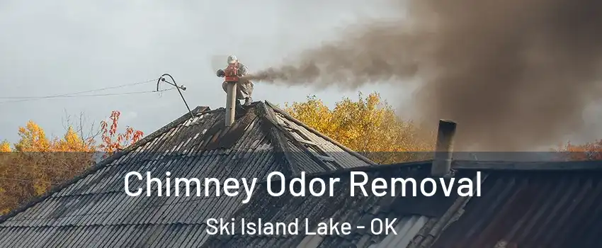 Chimney Odor Removal Ski Island Lake - OK