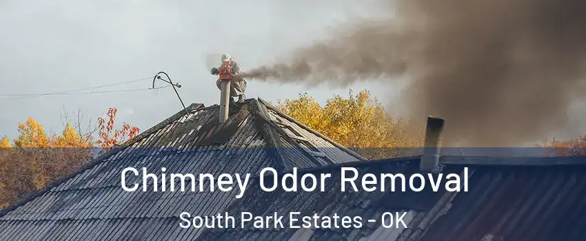 Chimney Odor Removal South Park Estates - OK