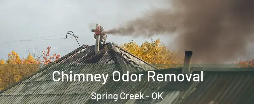 Chimney Odor Removal Spring Creek - OK