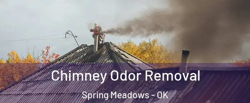 Chimney Odor Removal Spring Meadows - OK