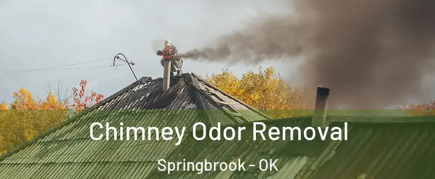 Chimney Odor Removal Springbrook - OK