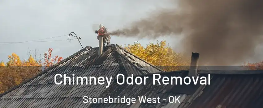 Chimney Odor Removal Stonebridge West - OK