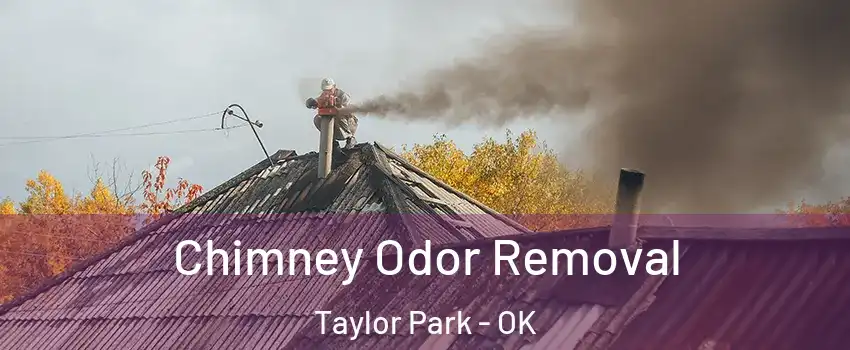 Chimney Odor Removal Taylor Park - OK