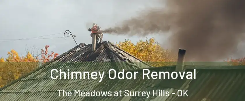 Chimney Odor Removal The Meadows at Surrey Hills - OK