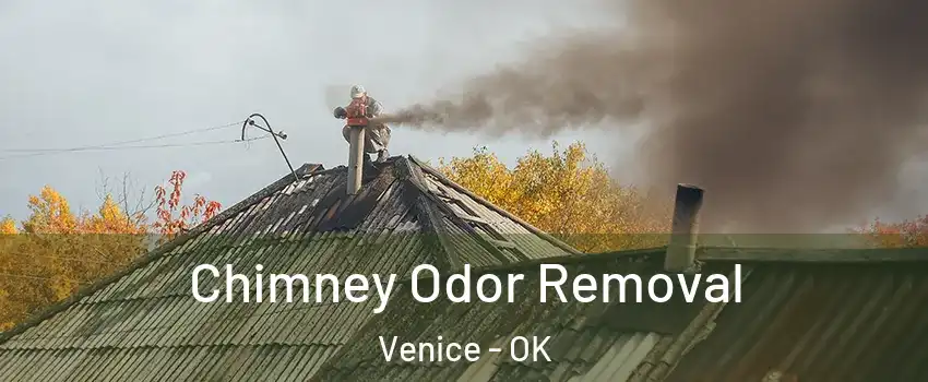 Chimney Odor Removal Venice - OK