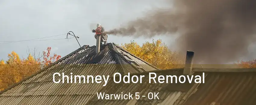 Chimney Odor Removal Warwick 5 - OK