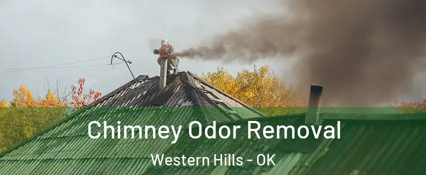 Chimney Odor Removal Western Hills - OK