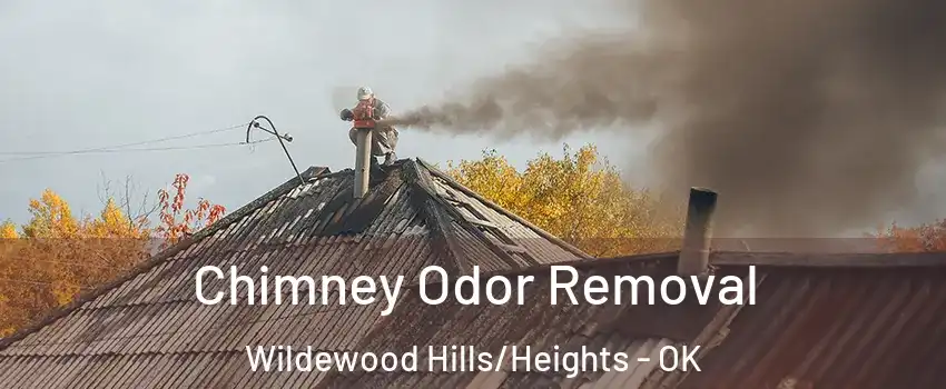 Chimney Odor Removal Wildewood Hills/Heights - OK