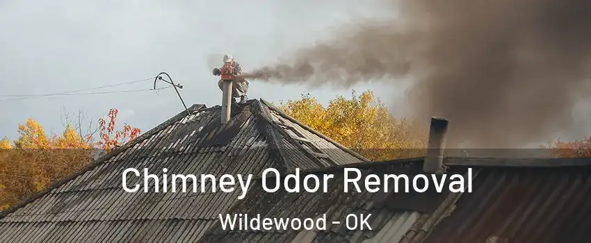 Chimney Odor Removal Wildewood - OK
