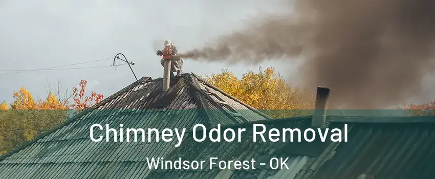 Chimney Odor Removal Windsor Forest - OK