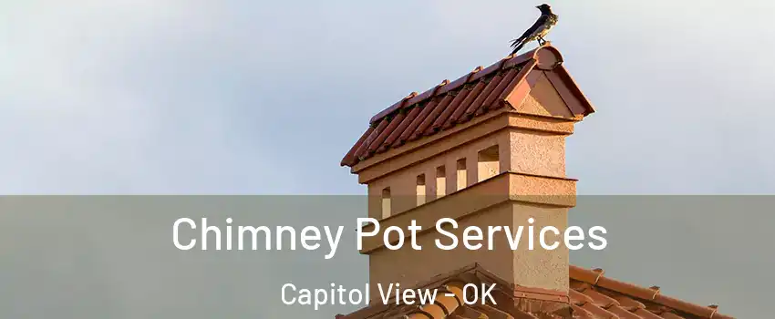 Chimney Pot Services Capitol View - OK