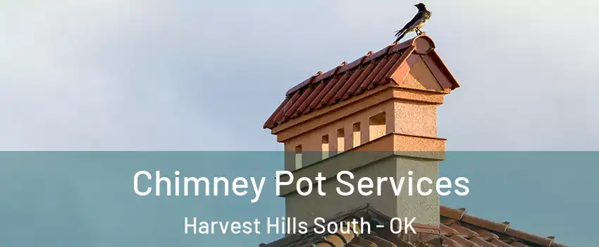 Chimney Pot Services Harvest Hills South - OK
