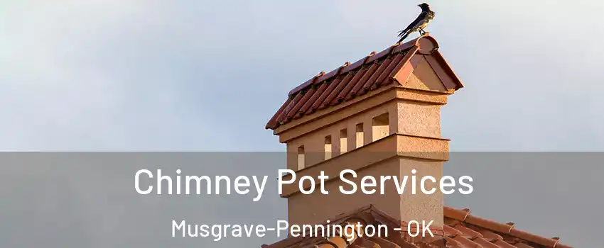 Chimney Pot Services Musgrave-Pennington - OK