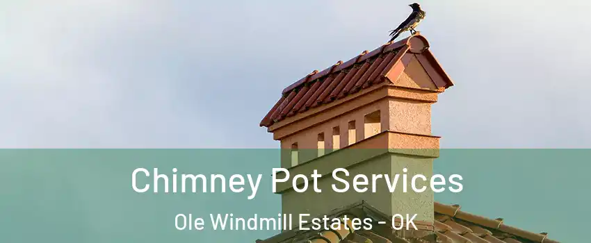 Chimney Pot Services Ole Windmill Estates - OK