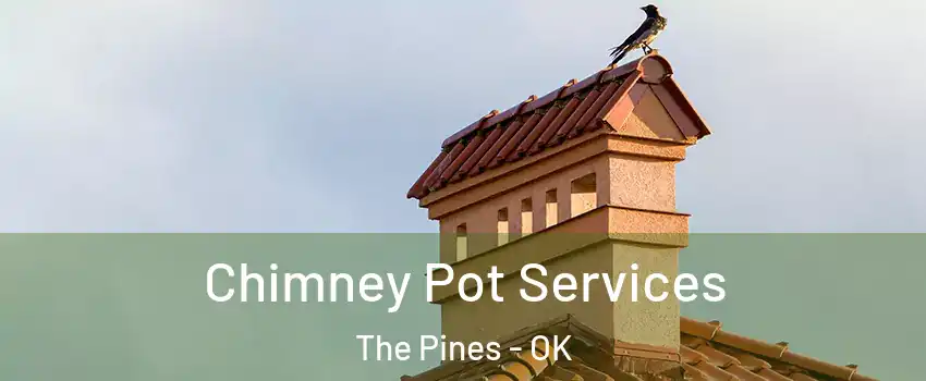 Chimney Pot Services The Pines - OK