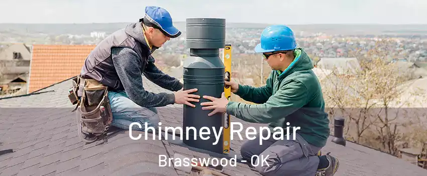 Chimney Repair Brasswood - OK