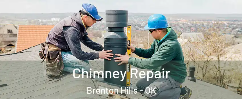 Chimney Repair Brenton Hills - OK