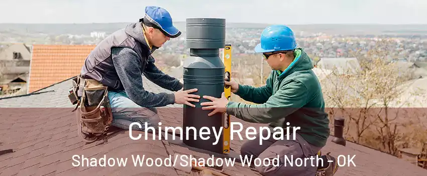 Chimney Repair Shadow Wood/Shadow Wood North - OK