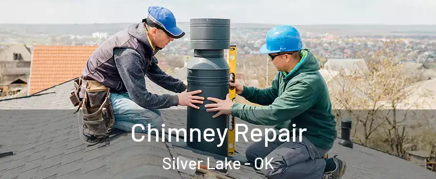 Chimney Repair Silver Lake - OK