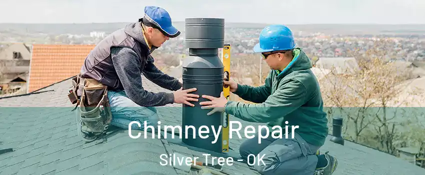 Chimney Repair Silver Tree - OK