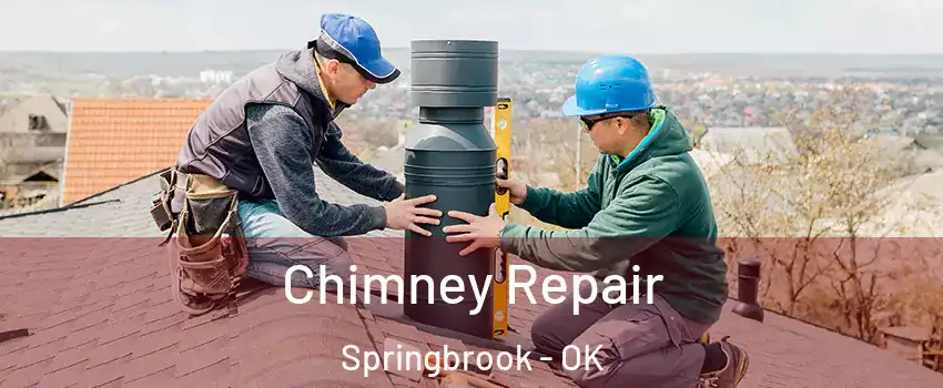Chimney Repair Springbrook - OK