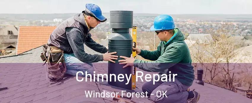 Chimney Repair Windsor Forest - OK