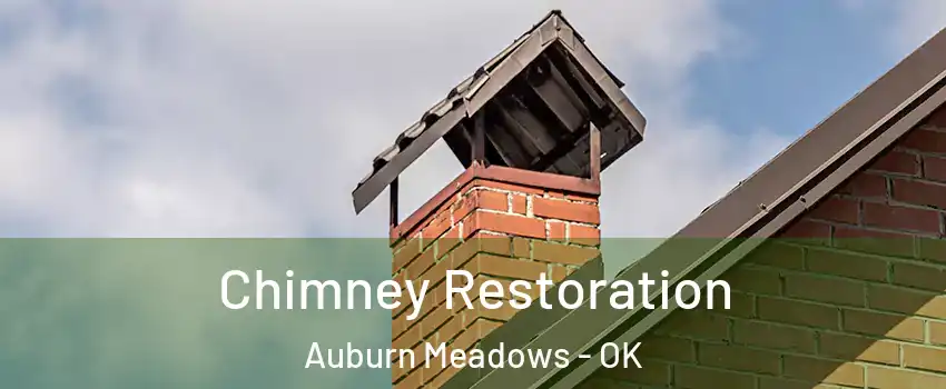 Chimney Restoration Auburn Meadows - OK