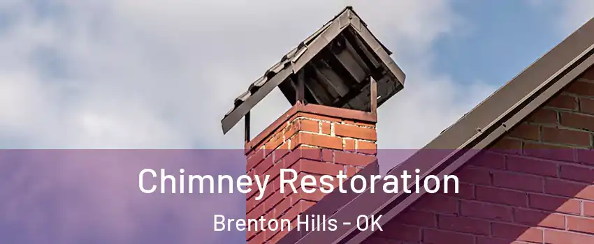 Chimney Restoration Brenton Hills - OK