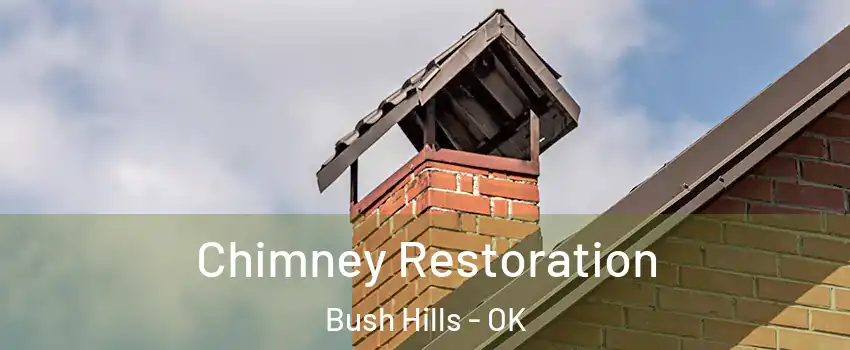 Chimney Restoration Bush Hills - OK