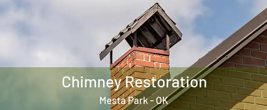 Chimney Restoration Mesta Park - OK