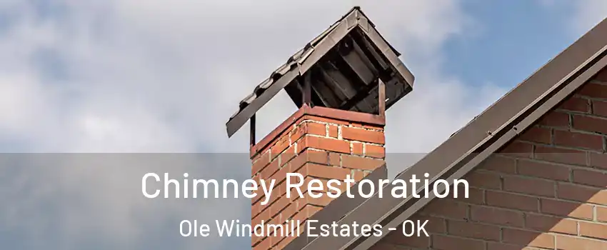 Chimney Restoration Ole Windmill Estates - OK