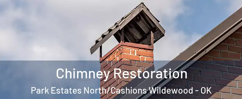 Chimney Restoration Park Estates North/Cashions Wildewood - OK