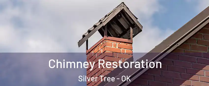 Chimney Restoration Silver Tree - OK